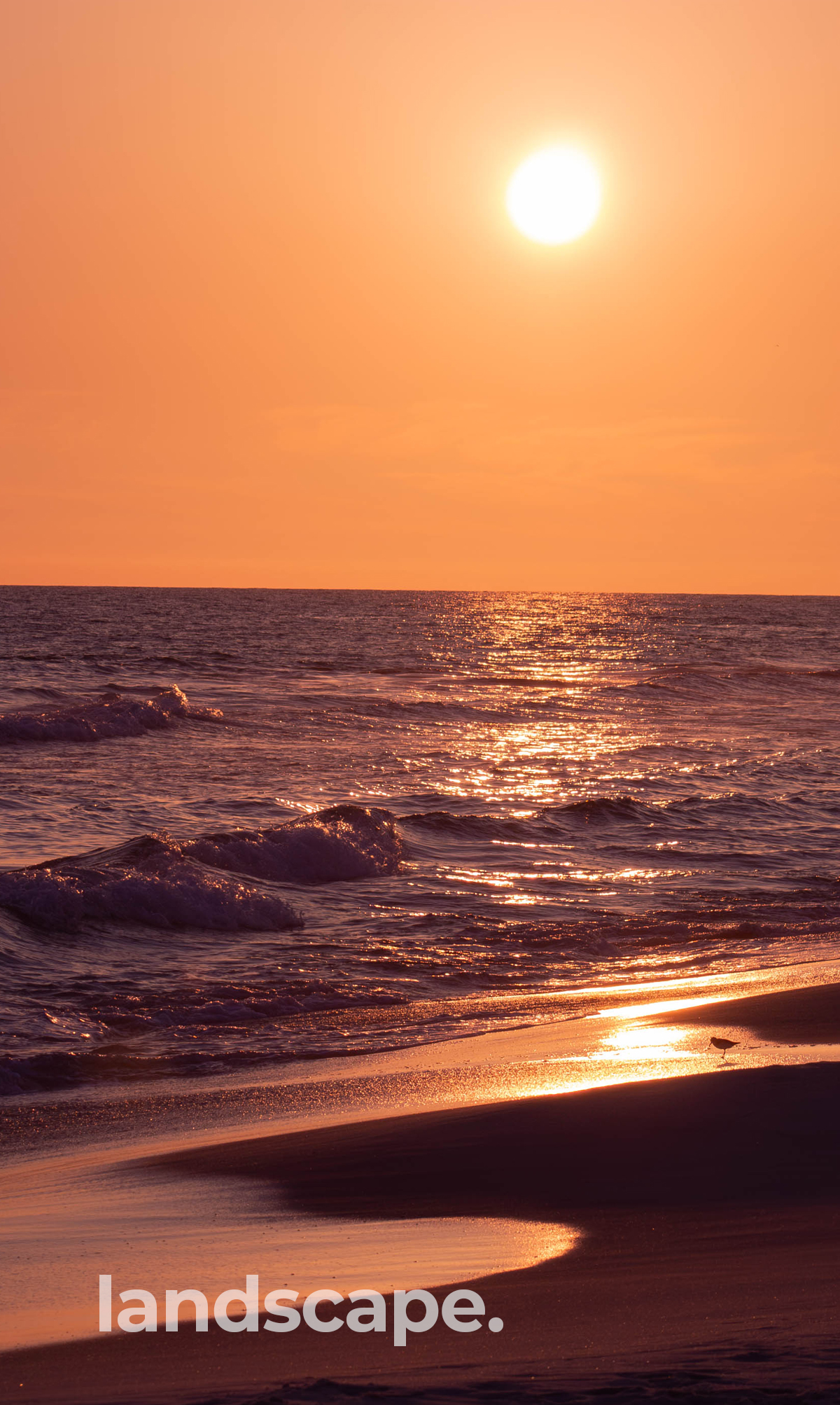 Beach Sunset